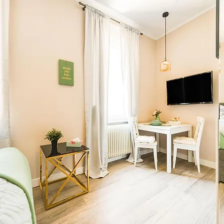Modern With Terrace Apartment
